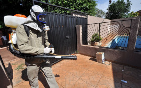 MS: notifica&ccedil;&otilde;es de chikungunya caem quase 93% em Dourados