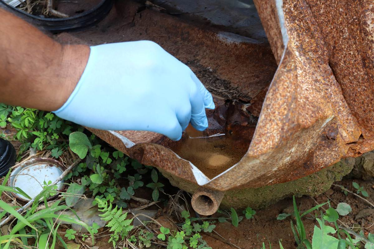 Campinas tem 29 bairros com maior risco para dengue; confira a lista