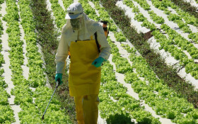 UFMT pesquisar&aacute; os efeitos de agrot&oacute;xicos sobre a sa&uacute;de materna