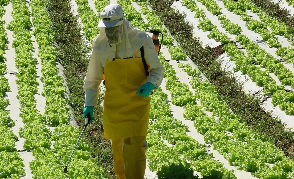 UFMT pesquisar&aacute; os efeitos de agrot&oacute;xicos sobre a sa&uacute;de materna