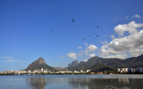 GEL Lagoa re&uacute;ne mais de 10 mil empresas