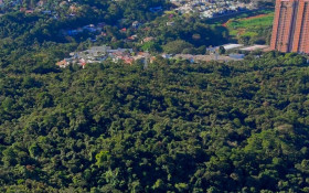 Abaixo‑assinado pede suspens&atilde;o de leil&atilde;o da Fazenda Remonta