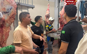 Inspe&ccedil;&atilde;o aponta irregularidades em matadouro no Amazonas