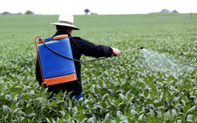 Paran&aacute;: &oacute;rg&atilde;os ambientais debatem agrot&oacute;xicos