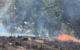 Brigada Florestal Volunt&aacute;ria faz a&ccedil;&otilde;es preventivas em Nova Igua&ccedil;u