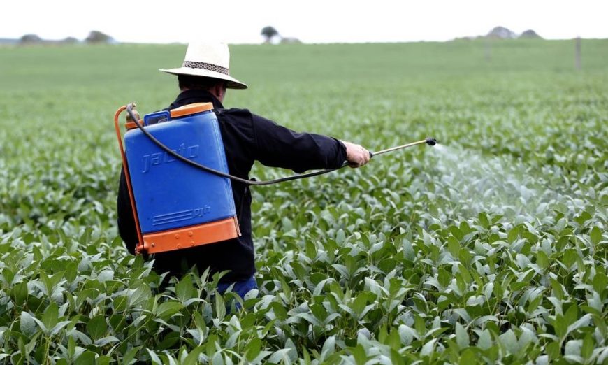 Paran&aacute;: &oacute;rg&atilde;os ambientais debatem agrot&oacute;xicos