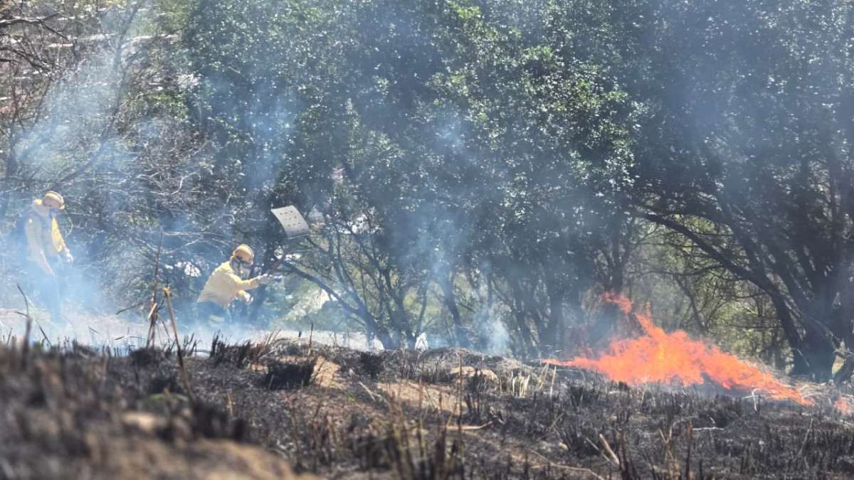 Brigada Florestal Volunt&aacute;ria faz a&ccedil;&otilde;es preventivas em Nova Igua&ccedil;u