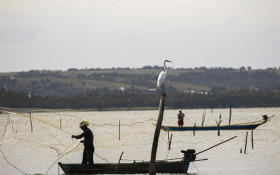 Conhe&ccedil;a os pescados brasileiros que escaparam do tarifa&ccedil;o