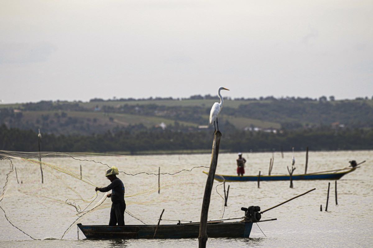 Conhe&ccedil;a os pescados brasileiros que escaparam do tarifa&ccedil;o