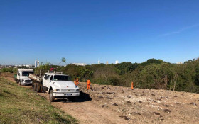 Hortol&acirc;ndia inicia o plantio de 1 mil mudas de 50 esp&eacute;cies nativas
