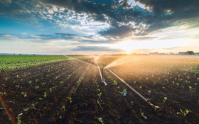 SP Produz recebe inscri&ccedil;&otilde;es para edital de R$ 30 milh&otilde;es at&eacute; 27 de julho