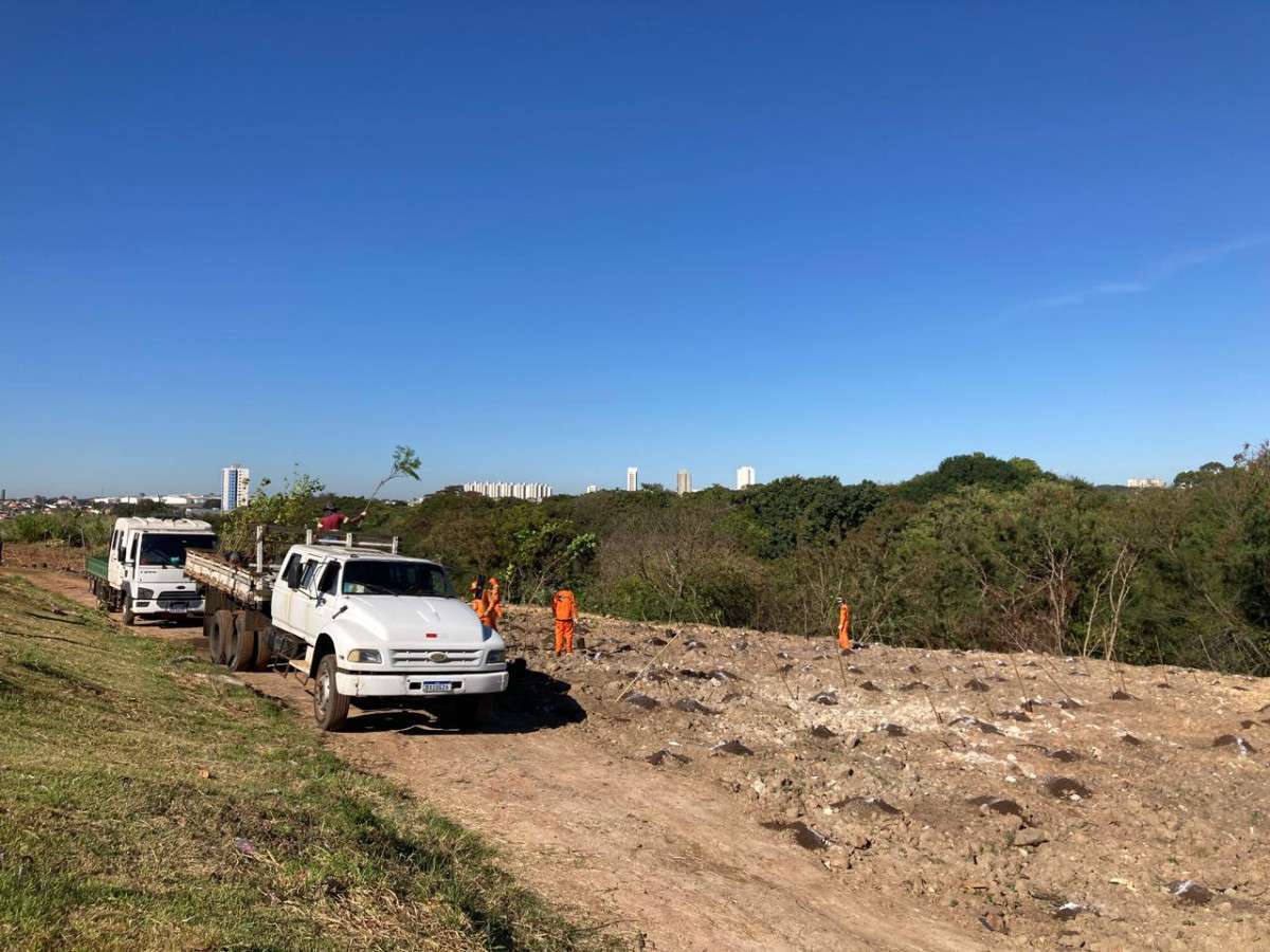 Hortol&acirc;ndia inicia o plantio de 1 mil mudas de 50 esp&eacute;cies nativas