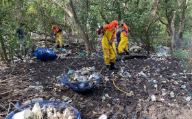 Comlurb limpa manguezal no Caju em a&ccedil;&atilde;o ecol&oacute;gica
