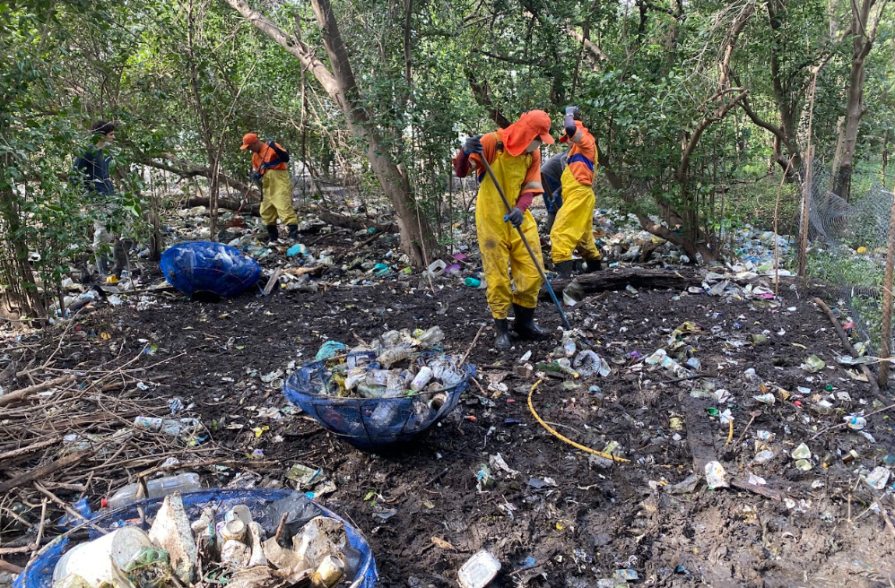 Comlurb limpa manguezal no Caju em a&ccedil;&atilde;o ecol&oacute;gica
