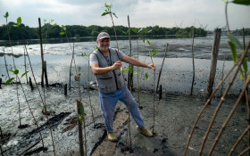 20 mil mudas s&atilde;o plantadas &agrave;s margens da Ba&iacute;a de Guanabara