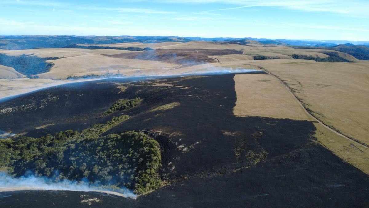 UFSC orienta primeira a&ccedil;&atilde;o de manejo do fogo em S&atilde;o Joaquim
