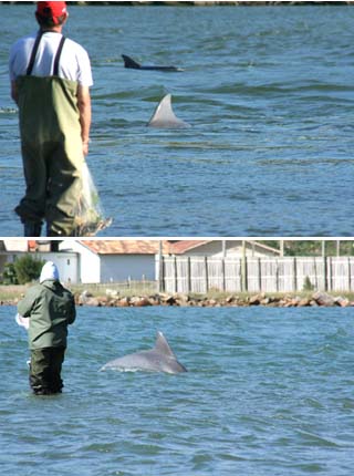 Pesca com botos entra em decis&atilde;o da Justi&ccedil;a do Rio Grande do Sul