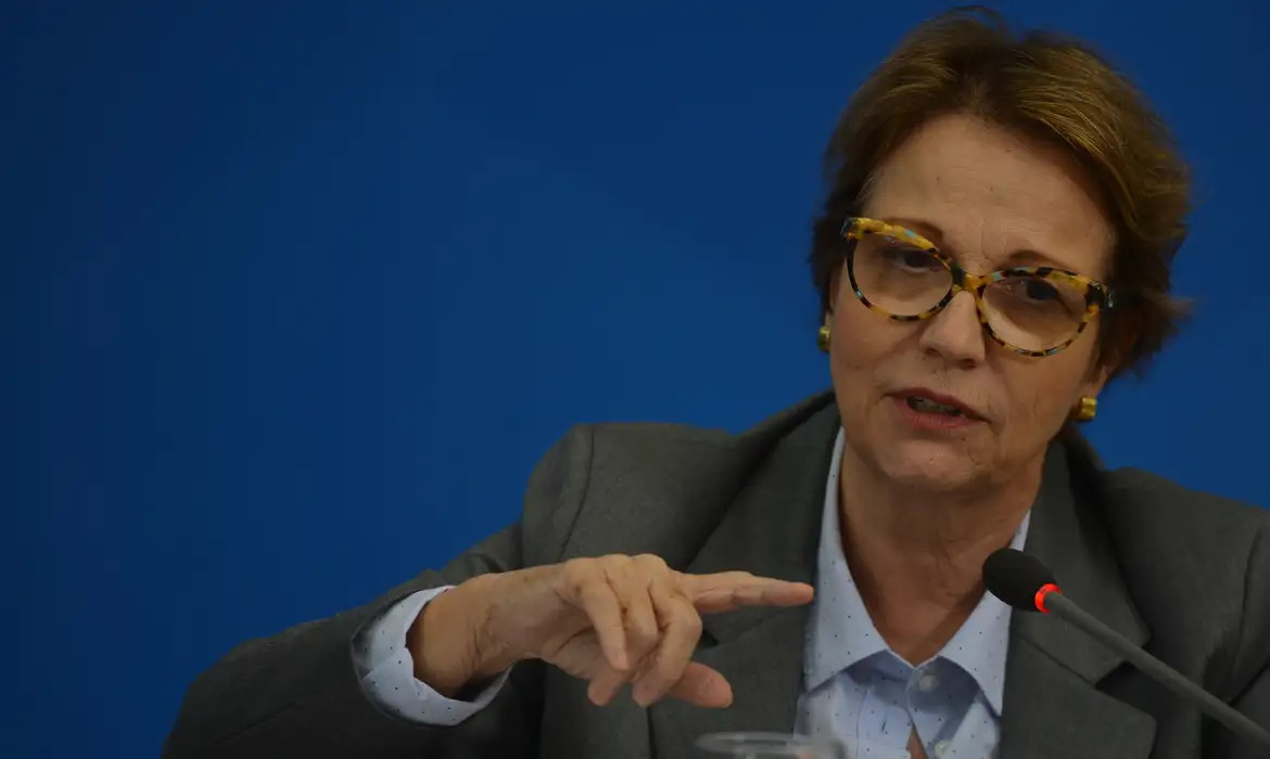 Uni&atilde;o‑PP: cabe&ccedil;a de sardinha ou rabo de pescada?