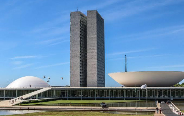 M&eacute;dica-veterin&aacute;ria atacada por cachorro no Senado segue em estado grave na UTI