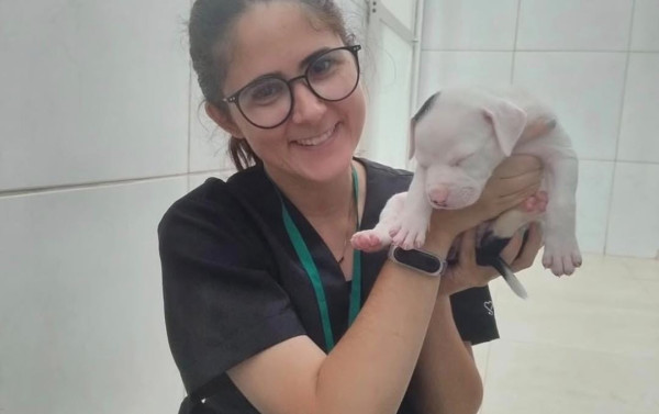 Justi&ccedil;a Federal vai investigar morte de veterin&aacute;ria atacada por c&atilde;o do Senado