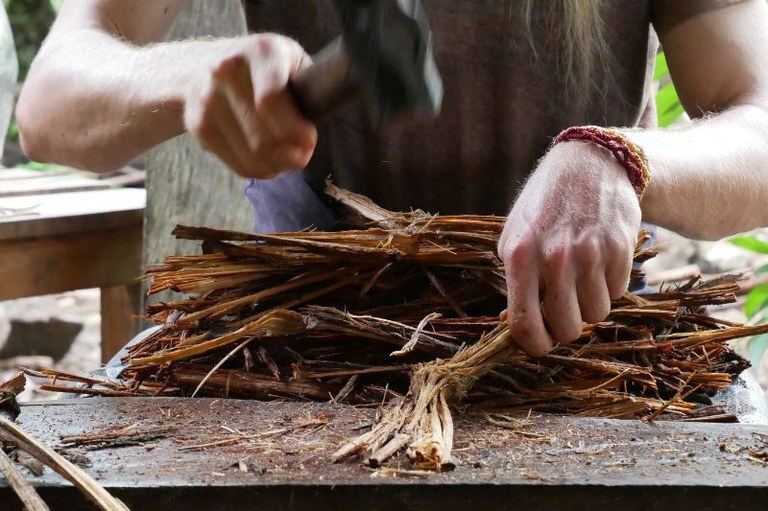 Regras para uso da ayahuasca no Brasil podem passar por revis&atilde;o