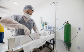 Saquarema promove mutir&atilde;o de castra&ccedil;&atilde;o, aplica&ccedil;&atilde;o de microchips e vacian&ccedil;&atilde;o de c&atilde;es e gatos