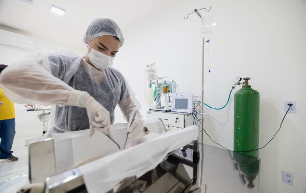 Saquarema promove mutir&atilde;o de castra&ccedil;&atilde;o, aplica&ccedil;&atilde;o de microchips e vacian&ccedil;&atilde;o de c&atilde;es e gatos