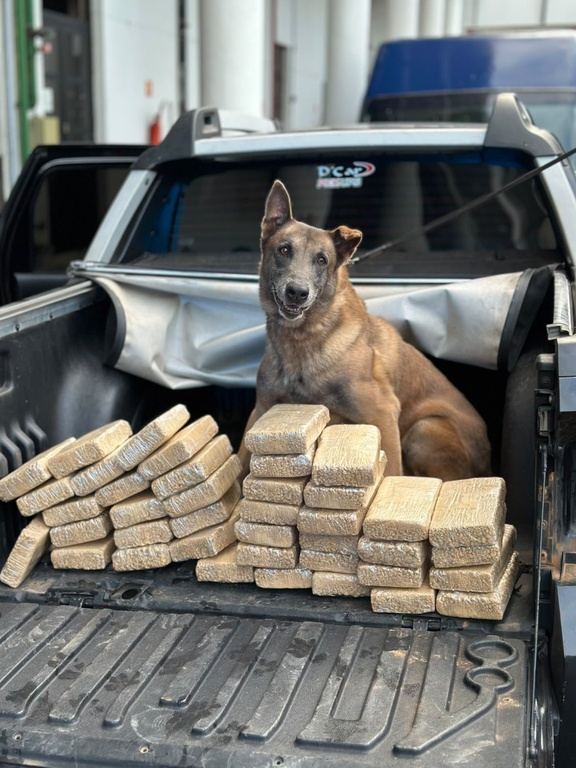 Homem &eacute; preso com cerca de 40 kg de pasta base de coca&iacute;na em ve&iacute;culo