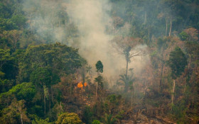 Dados do Inpe apontam queda recorde de queimadas no Acre