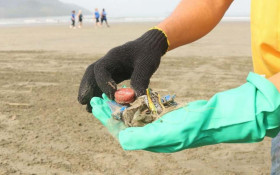 Praias de cinco estados recebem mutir&otilde;es de limpeza