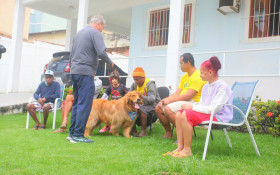 Prefeitura de Nova Igua&ccedil;u cria um novo programa social de intera&ccedil;&atilde;o com c&atilde;es
