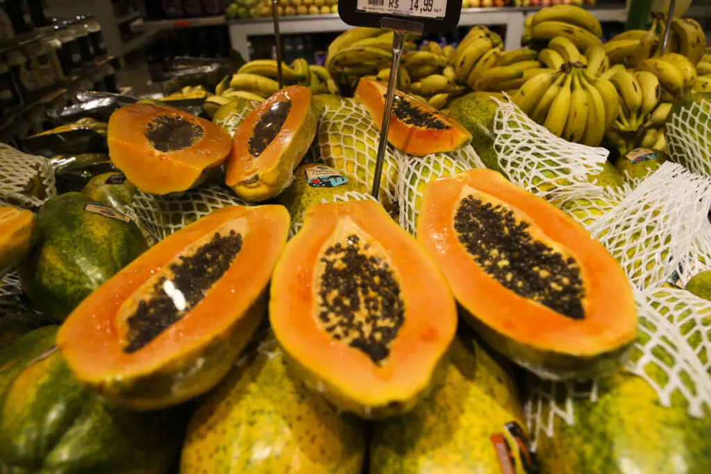 Nordeste tem 19% a mais na produ&ccedil;&atilde;o de frutas em 4 anos