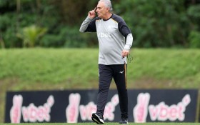 Tite deve usar Data FIFA para reorganizar o Botafogo