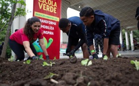 Escolas recebem a&ccedil;&otilde;es de educa&ccedil;&atilde;o socioambiental