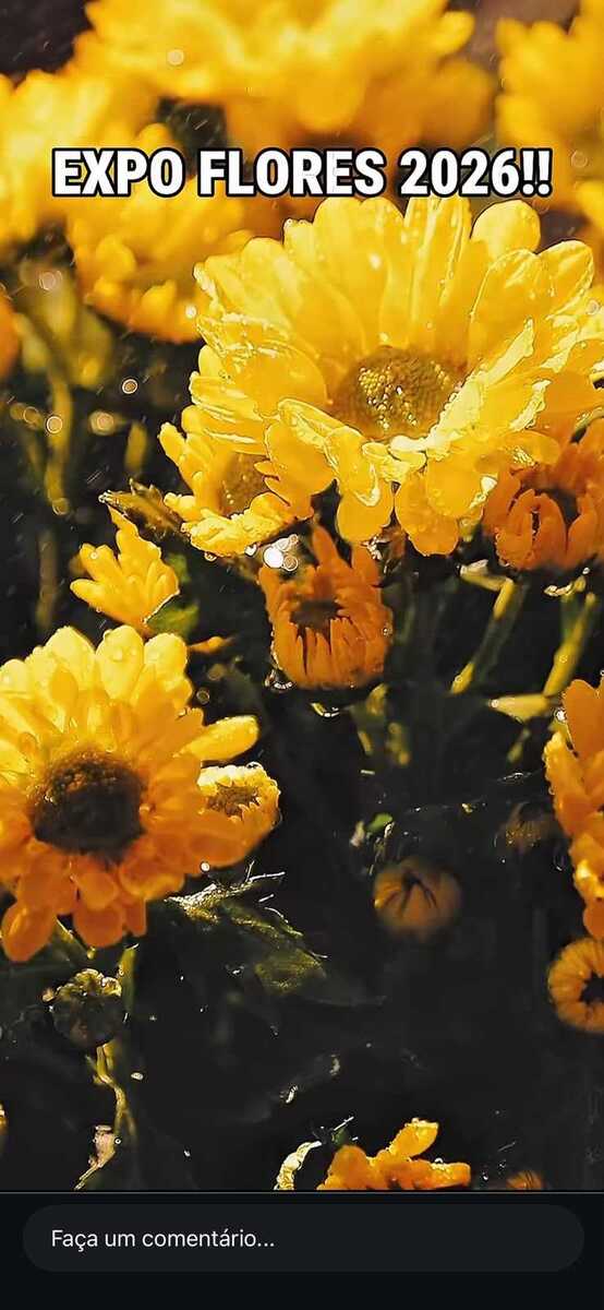 BRASILIANAS | ExpoFlores Bras&iacute;lia 2026 leva flores, oficinas e atra&ccedil;&otilde;es familiares a Taguatinga