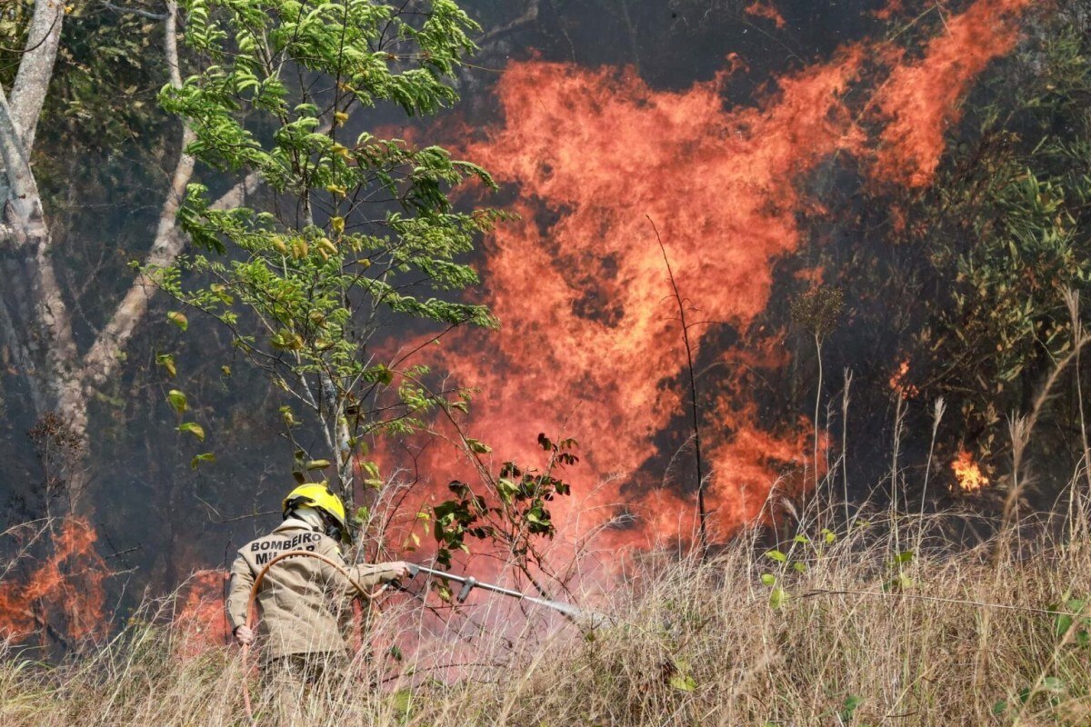 Pesquisa da Ufac mapeia &aacute;reas queimadas no Acre
