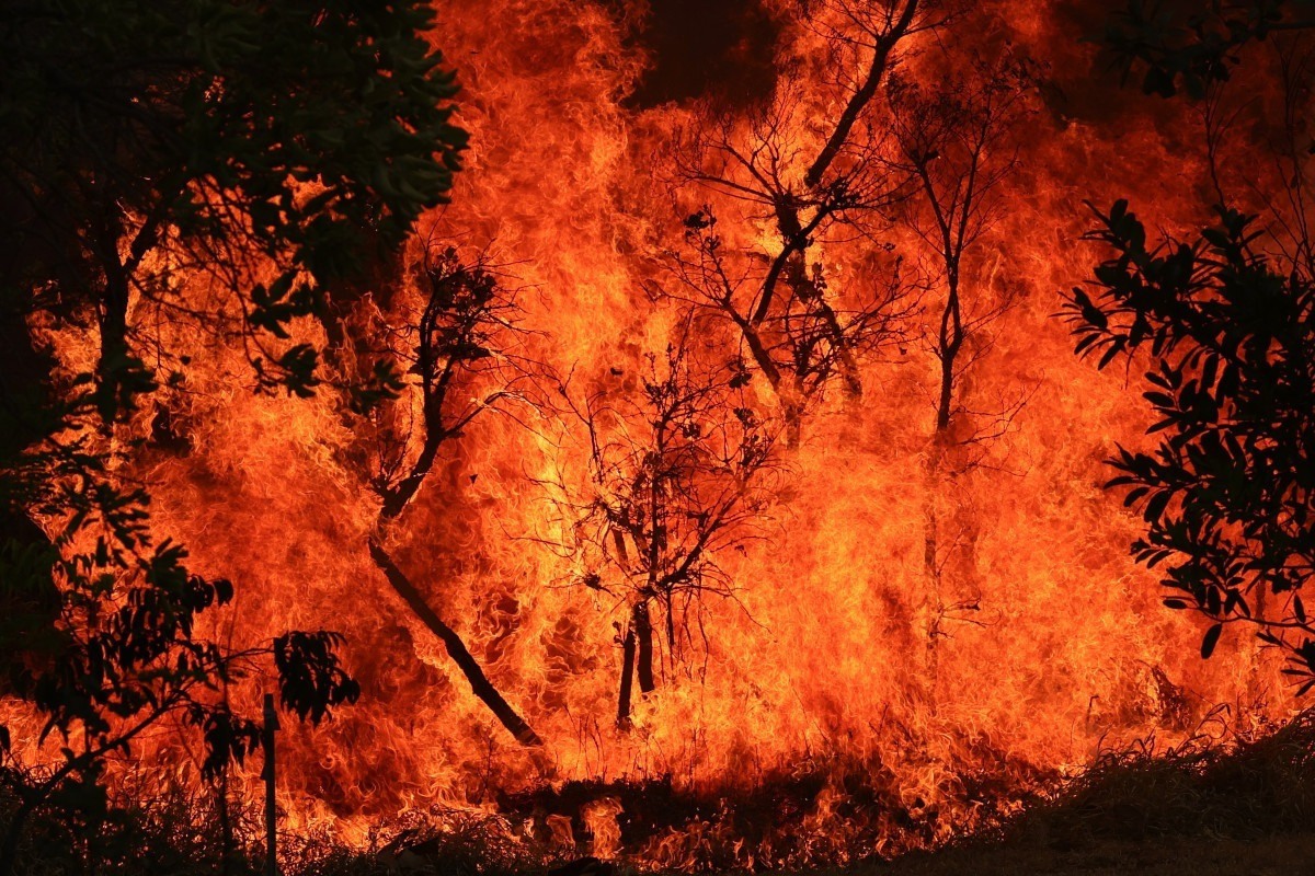 Amazonas concentra focos de inc&ecirc;ndio em &aacute;reas privadas
