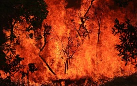 Amazonas concentra focos de inc&ecirc;ndio em &aacute;reas privadas