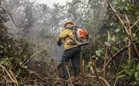 Amazonas registra 540 focos de inc&ecirc;ndio em 48 horas