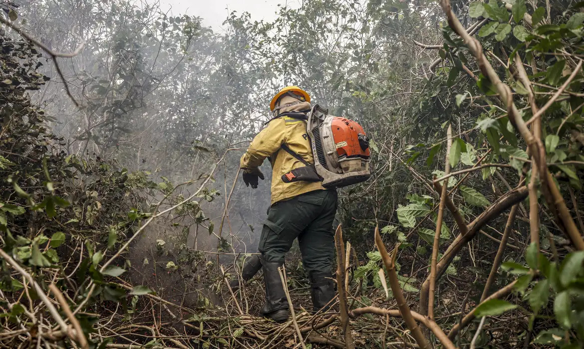 Amazonas registra 540 focos de inc&ecirc;ndio em 48 horas