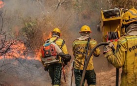 Impacto das queimadas na sa&uacute;de ind&iacute;gena do Amazonas