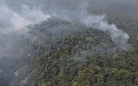 S&atilde;o Paulo tem queda de 96% nos focos de calor