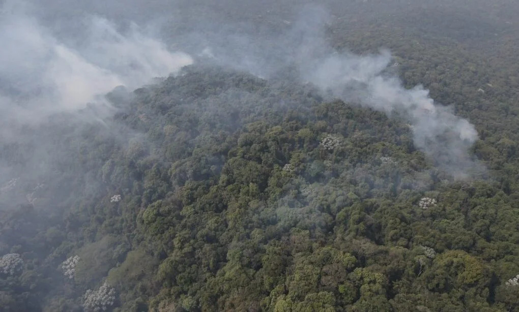 S&atilde;o Paulo tem queda de 96% nos focos de calor