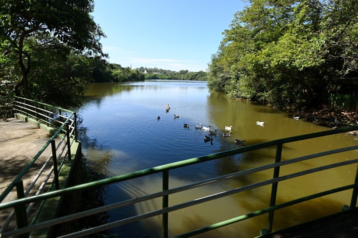Campinas reabre parques e bosques ap&oacute;s queda no acumulado de chuva
