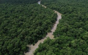 Plano de Preven&ccedil;&atilde;o levou Amaz&ocirc;nia ao menor desmatamento em 41 anos