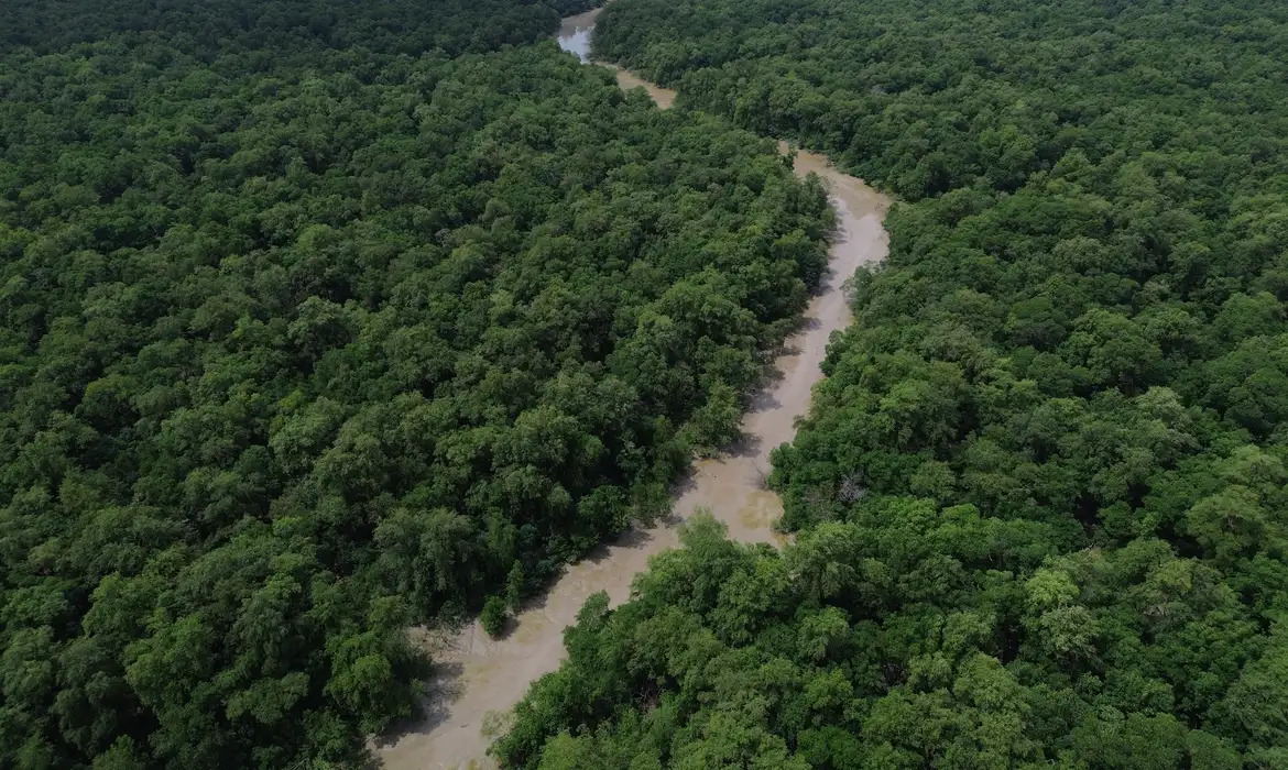 Plano de Preven&ccedil;&atilde;o levou Amaz&ocirc;nia ao menor desmatamento em 41 anos