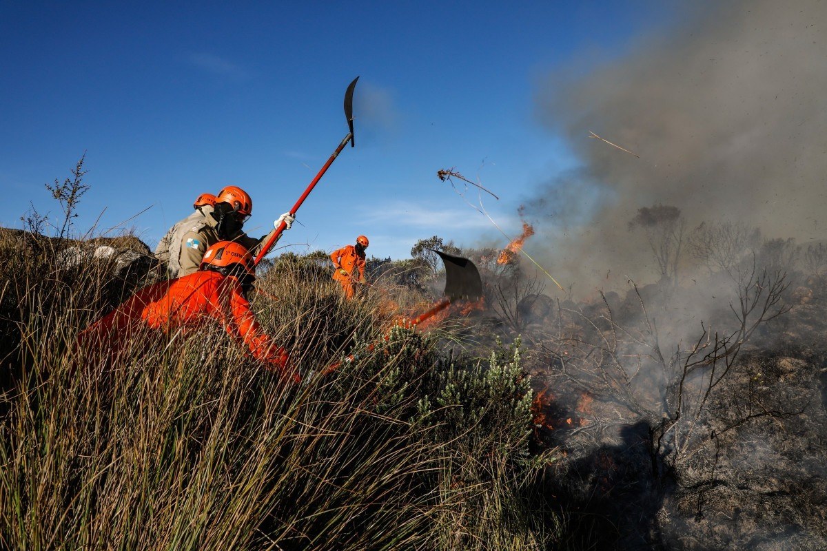 Ocorr&ecirc;ncias de inc&ecirc;ndios em vegeta&ccedil;&atilde;o t&ecirc;m queda no estado