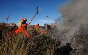 Ocorr&ecirc;ncias de inc&ecirc;ndios em vegeta&ccedil;&atilde;o t&ecirc;m queda no estado