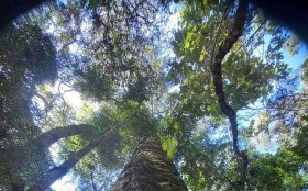 Nova Friburgo ganha uma nova &aacute;rea privada de prote&ccedil;&atilde;o ambiental